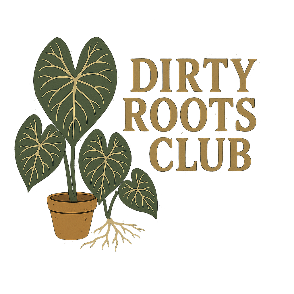 Dirty Roots Club logo