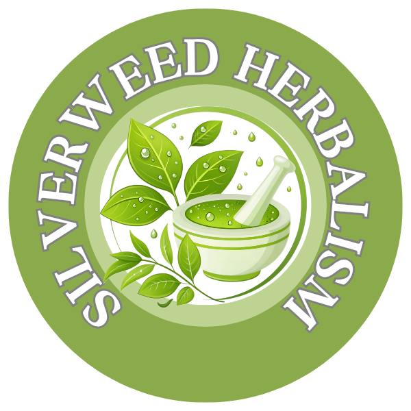 Silverweed Herbalism logo